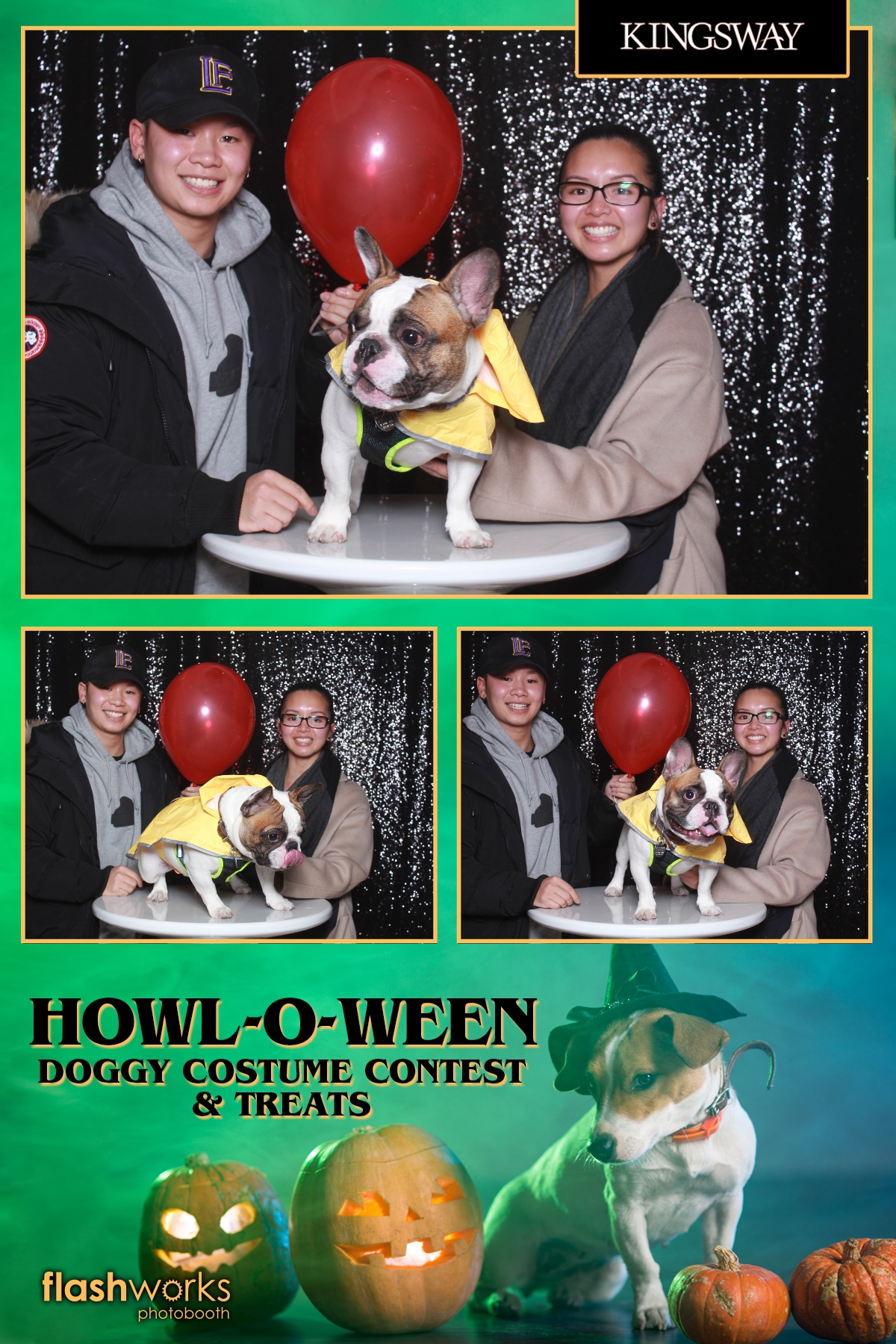 Kingsway Howl-O-Ween Doggy Costume Contest | View more photos from the event at gallery.flashworksphotobooth.com/u/FlashworksPhotoboothInc/Kingsway-Howl-O-Ween-Doggy-Costume-Contest